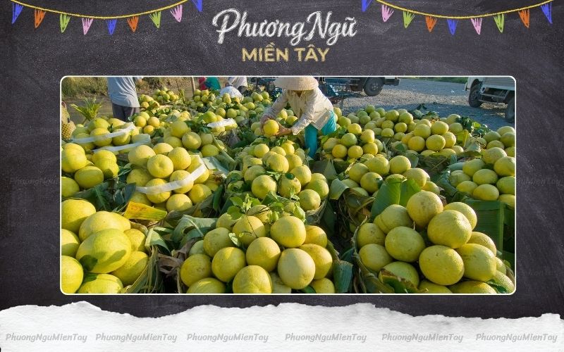 Ý nghĩa văn hóa của cách gọi trái cây miền Tây