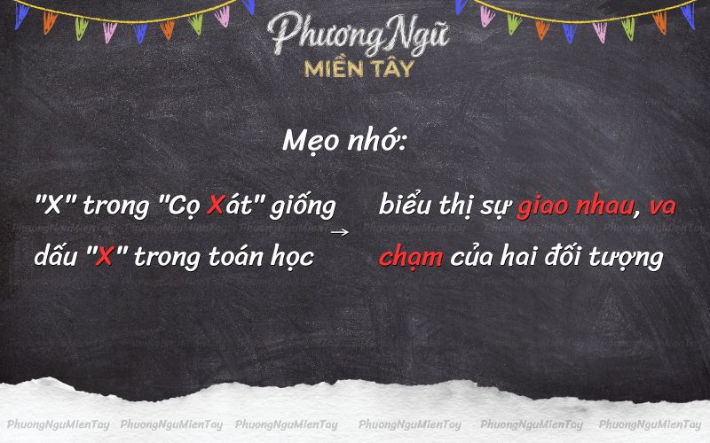 Cọ xát hay cọ sát: Từ nào đúng chính tả tiếng Việt? Cách ghi nhớ viết đúng "cọ xát"