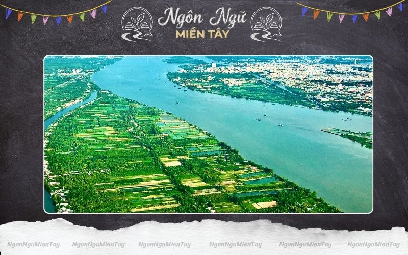 Khu vực Đồng bằng sông Cửu Long