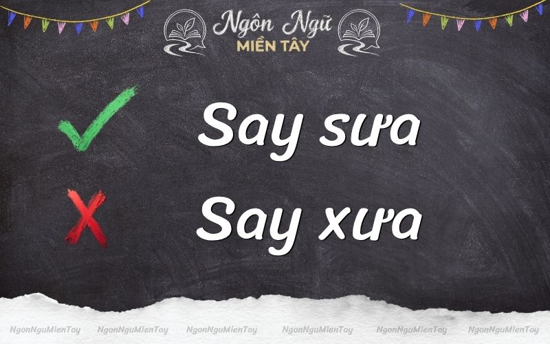 Say sưa là từ viết đúng chính tả Tiếng Việt
