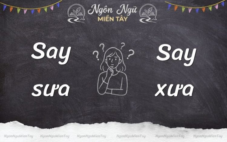 say sưa hay say xưa